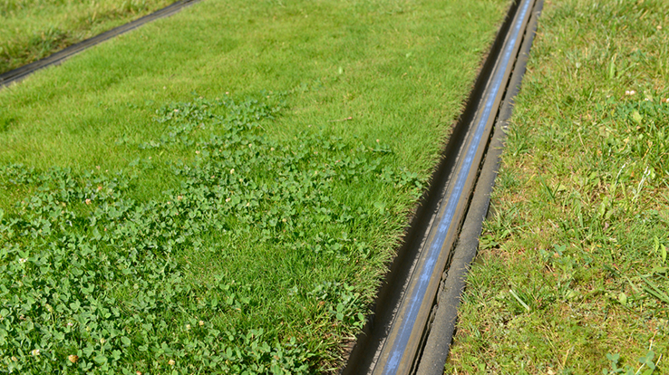 Carroussel Tramvia 02